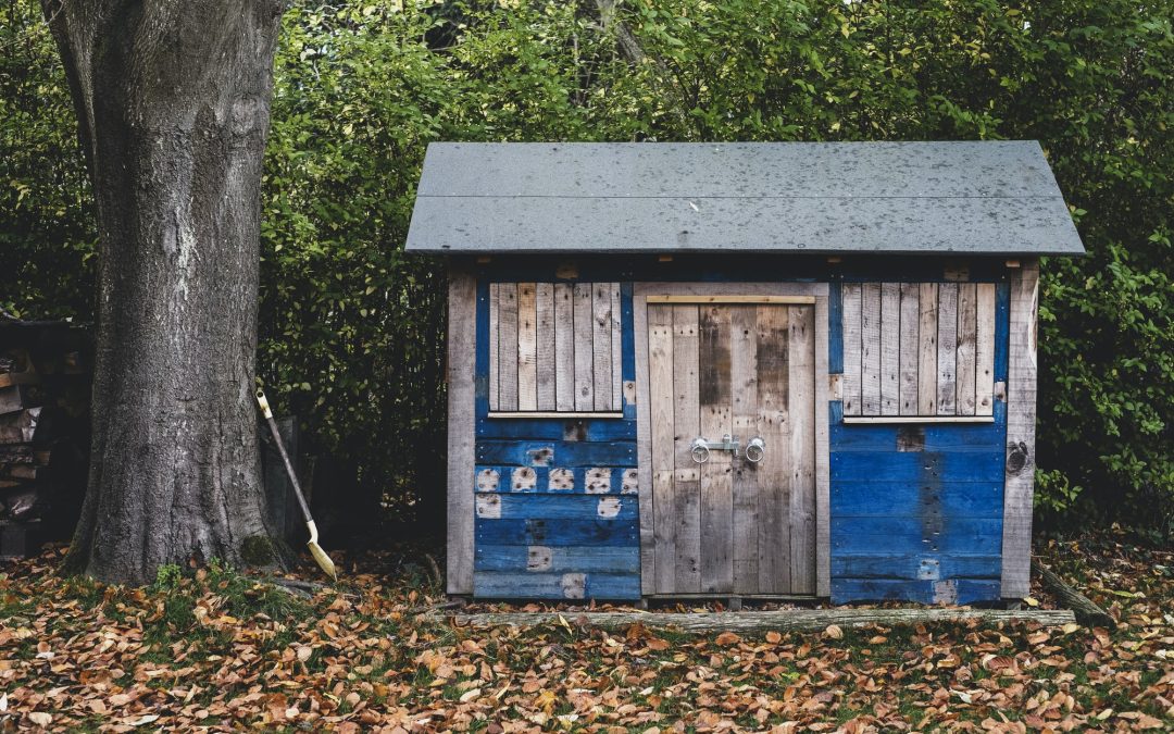 Preparedness in Your Backyard: Crafting a Long-Term Emergency Food Shed
