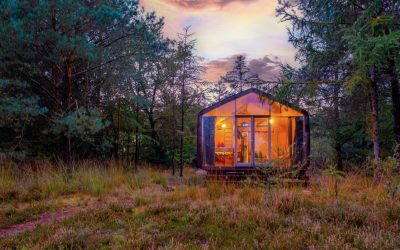 Off the Grid: Discovering Serenity at a Remote Lodge
